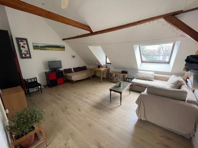 Appartement P55 3 Pieces Lumineux Et Calme Sur Les Toits Location Mobilite 1 Mois Minimum *