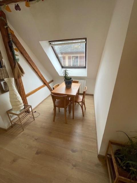 P55 3 Pieces Lumineux Et Calme Sur Les Toits Location Mobilite 1 Mois Minimum Appartement