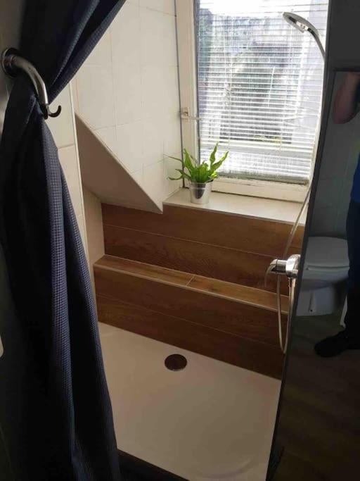 P55 3 Pieces Lumineux Et Calme Sur Les Toits Location Mobilite 1 Mois Minimum Appartement *