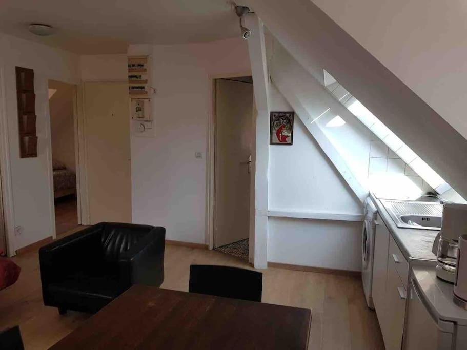 Appartement P55 3 Pieces Lumineux Et Calme Sur Les Toits Location Mobilite 1 Mois Minimum